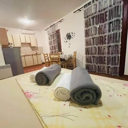 Studio 2+2 Apartment Pakostane